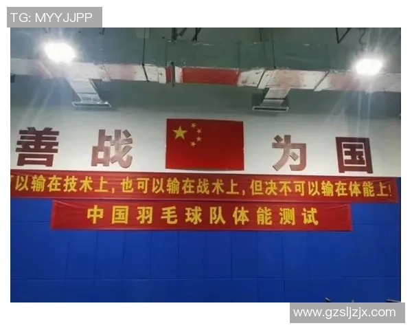 深圳羽毛球队整体压制战术解析与实战应用探讨